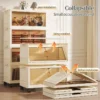 Value Combo Double Doors Storage Box Stackable Foldable Multipurpose Storage Cabinet